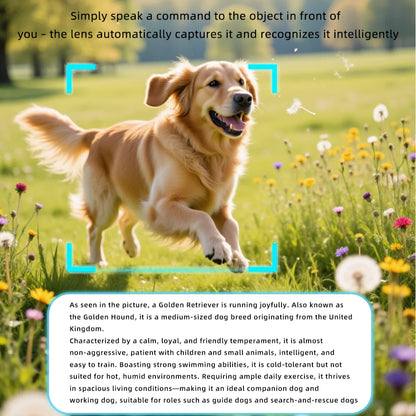 Gear up for the ultimate ride with New AI Intelligent Glasses – 800W cycling goggles featuring HD anti-shake camera, video recording, and UV protection.